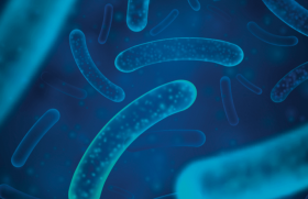 probiotiques
