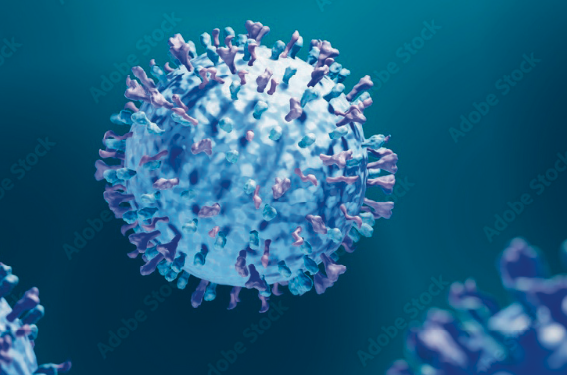 Bronchiolites à VRS : état des lieux sur la situation épidémiologique, la prévention et la recherche